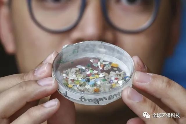 關于“微塑料”的危害,你了解多少?